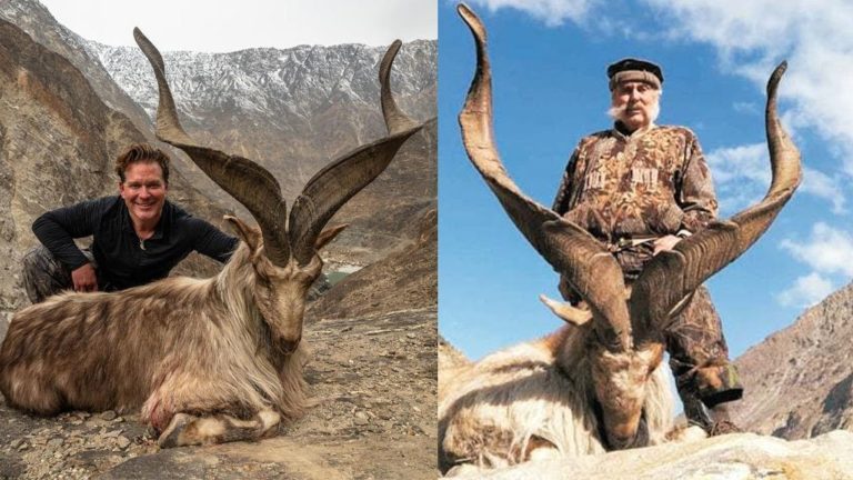 Hunting Pakistan’s Endangered Species